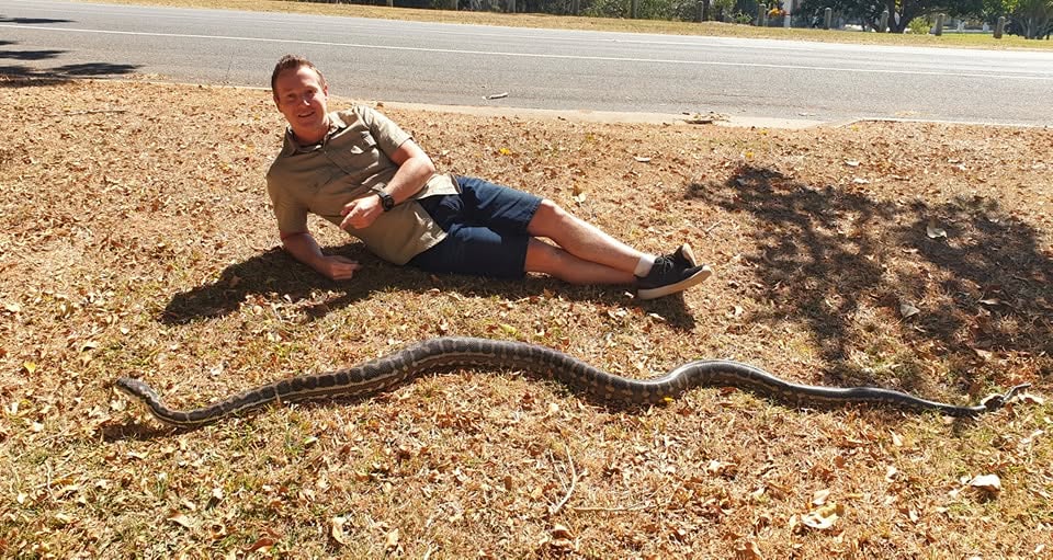 Redlands Snake Catcher with a carpet python removed from a local property